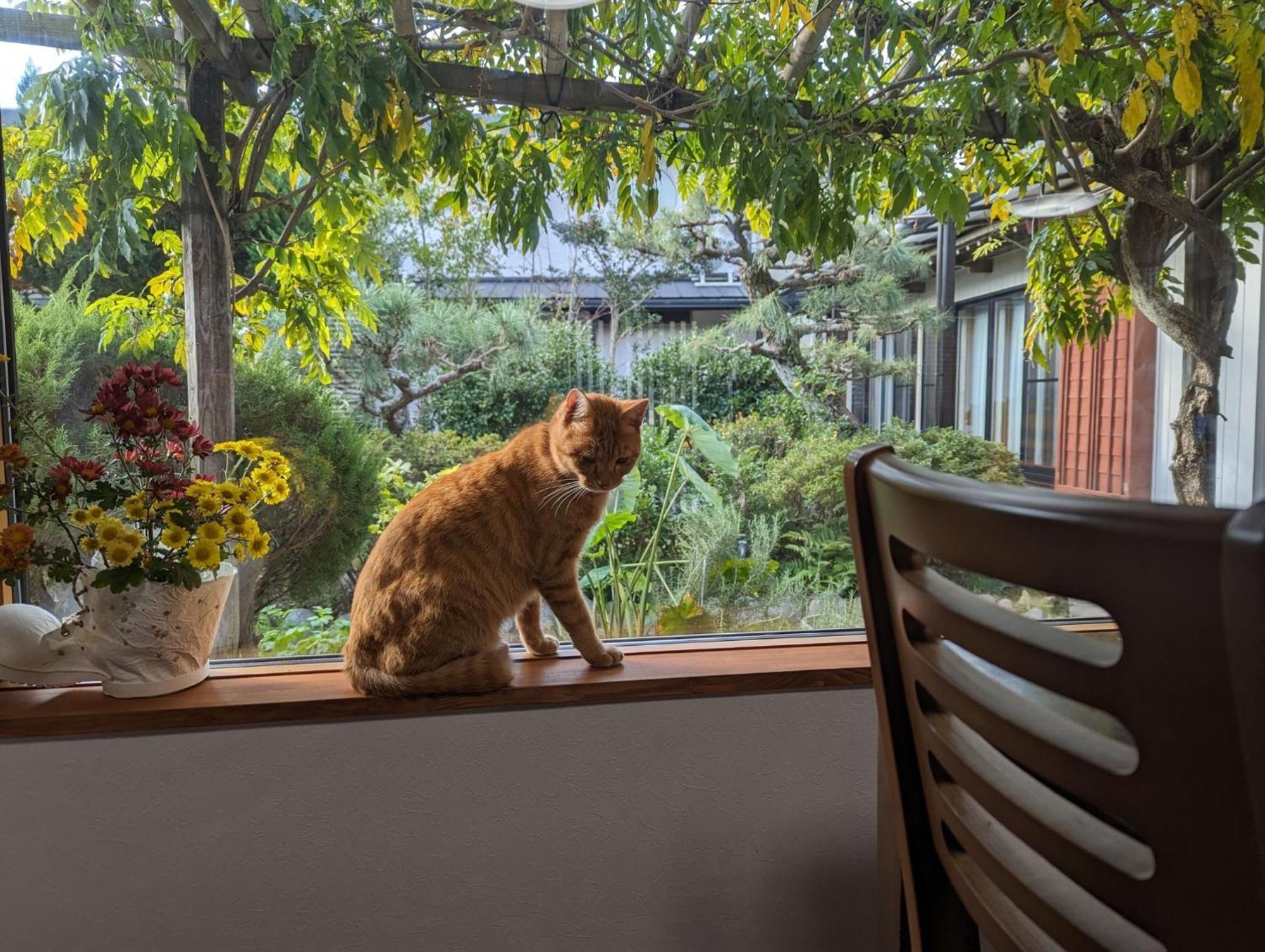 Guest House Ki-Zu - Vacation Stay 94978V Nishio Bagian luar foto
