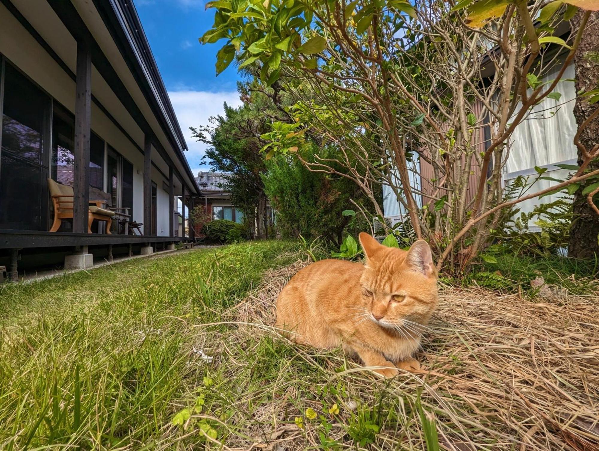 Guest House Ki-Zu - Vacation Stay 94978V Nishio Bagian luar foto
